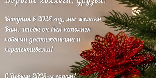 С Новым 2025-м годом!